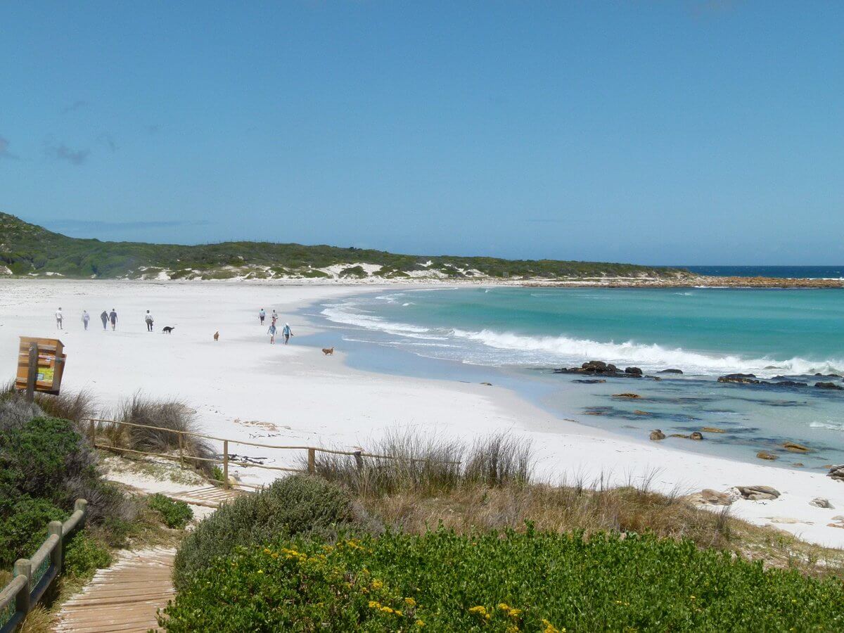 dog friendly beaches in perth - Scarborough Beach