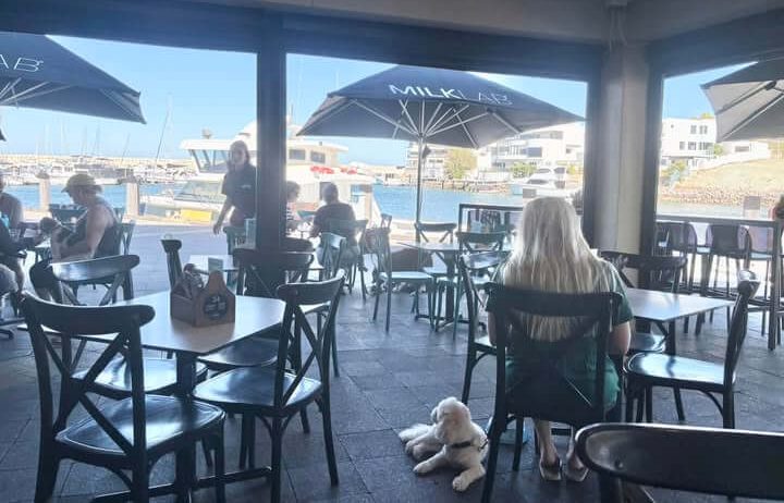 dog friendly cafe in perth - union-kitchen