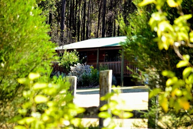 accommodation perth pet friendly
