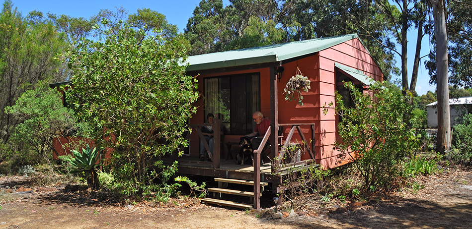 dog friendly accommodation perth wa
