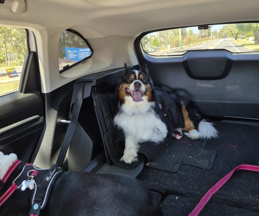 dog-friendly stays in perth