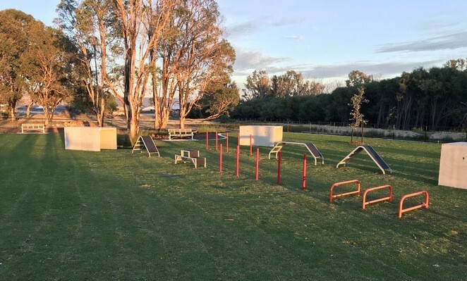 fenced dog parks 