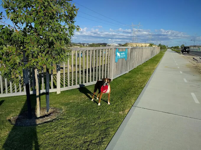 best enclosed dog parks 