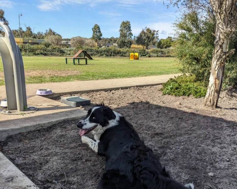 best off-leash dog parks