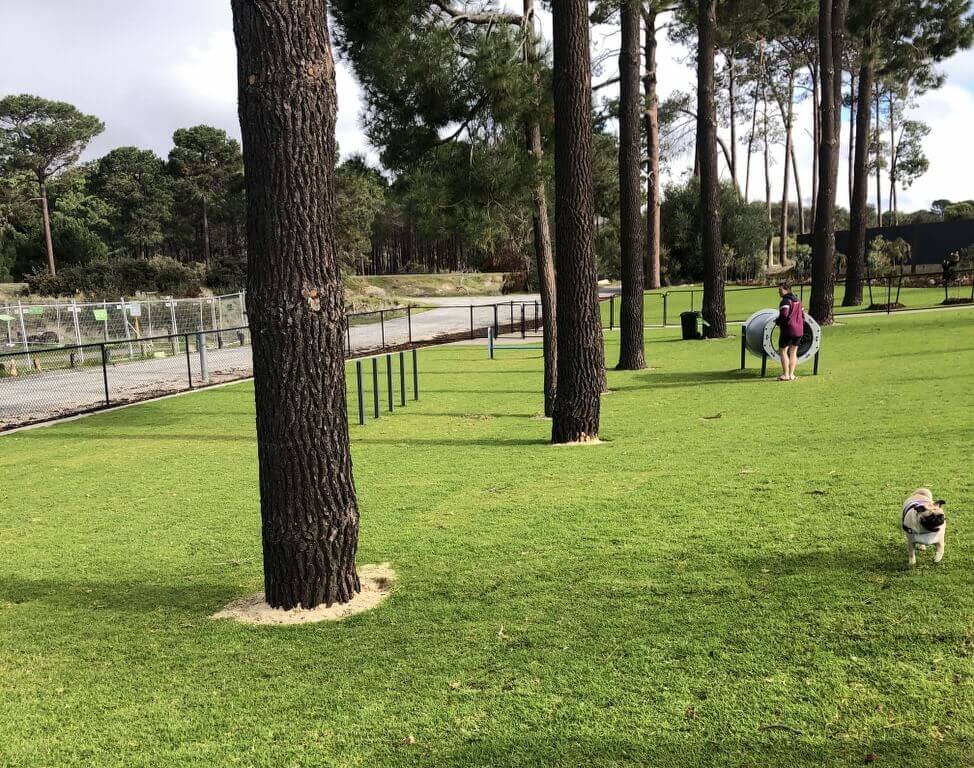 best off-leash dog parks 
