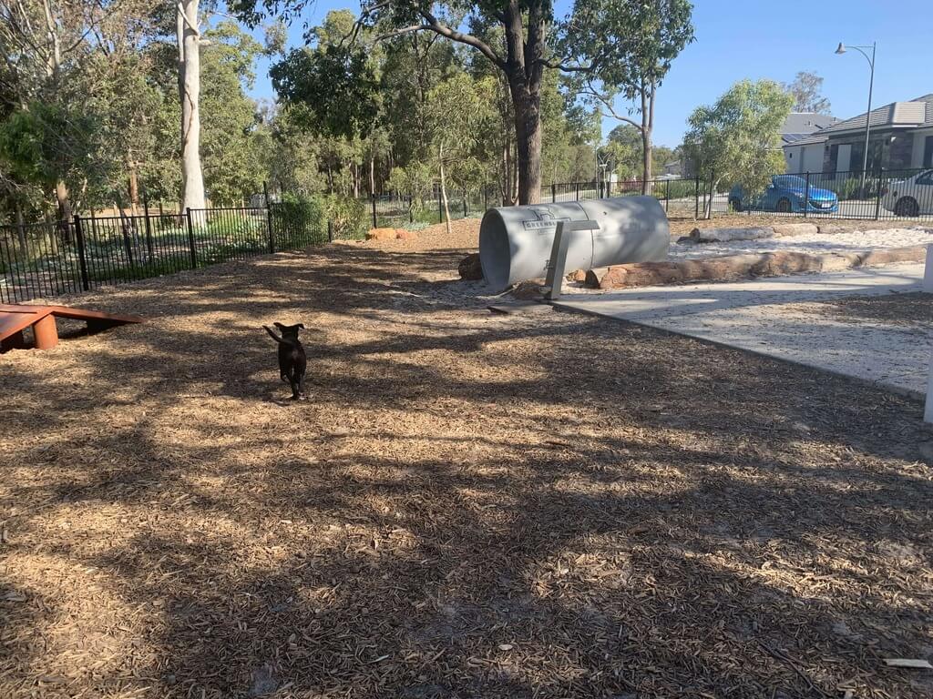 best enclosed dog parks
