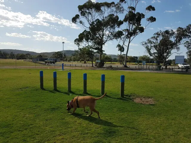 best off-leash dog parks 