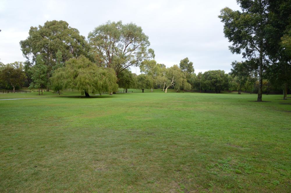 best off-leash dog parks perth 