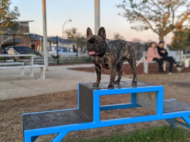 best off-leash dog parks