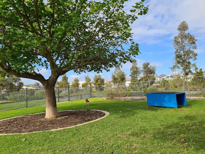 best enclosed dog parks