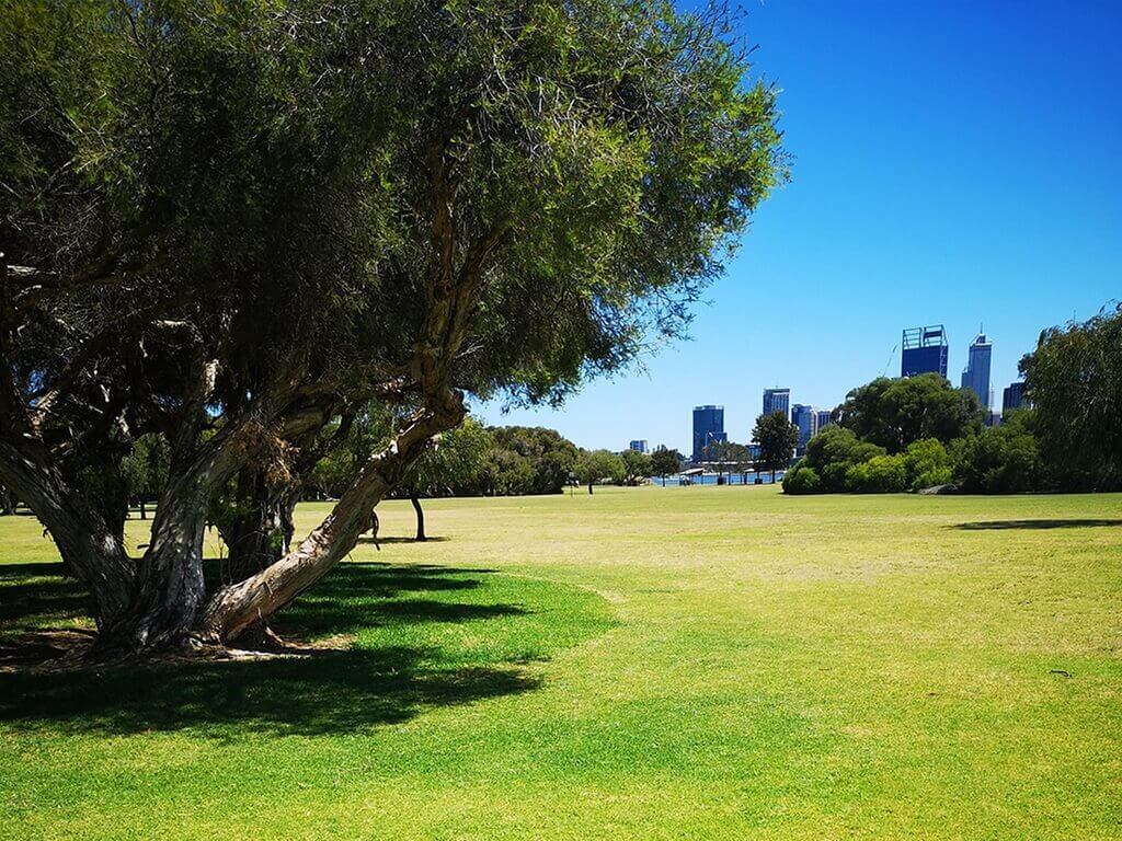 best off-leash dog parks 