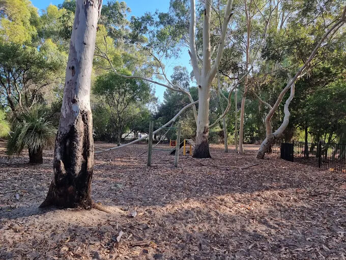 best enclosed dog parks