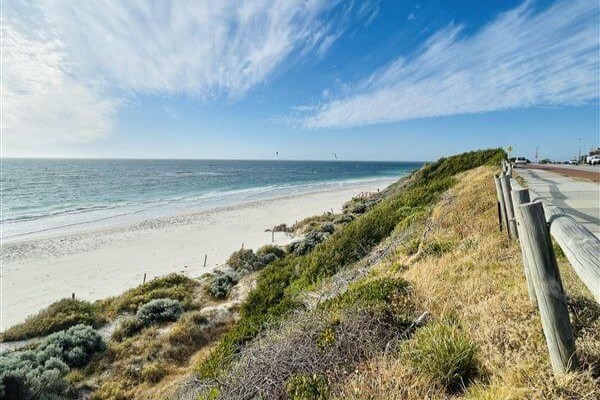what to do in perth with a dog cottesloe-dog-beach