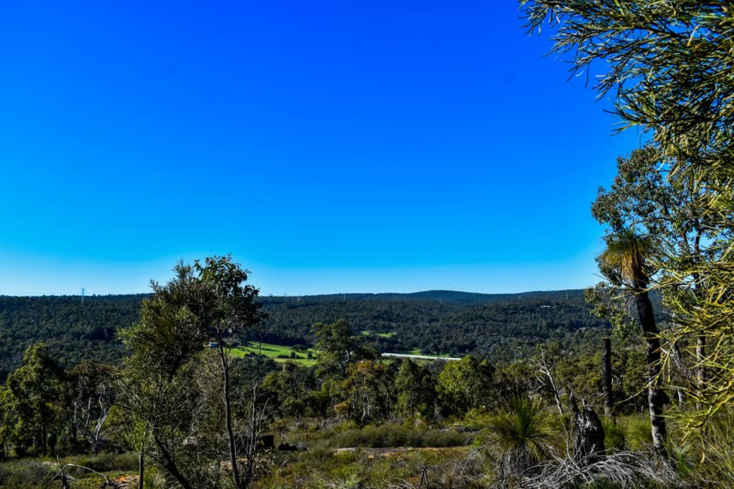 Where to take my dog in Perth Hills: Jorgensen park