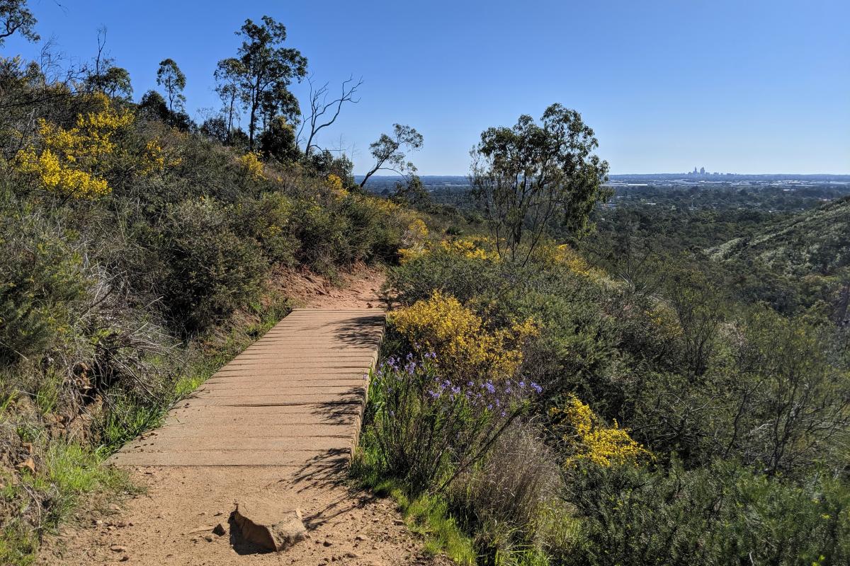 Dog friendly weekend activities Perth Hills: Perth Hills Lesmurdie Falls