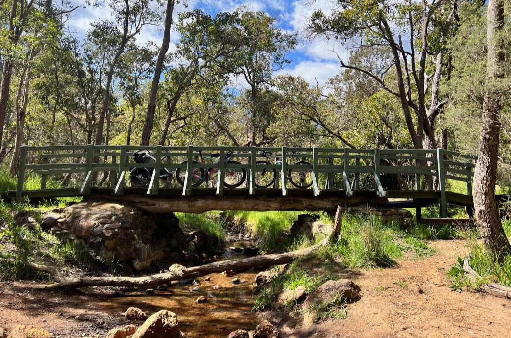 Road trip with dogs tips: railway reserves heritage trail bridge