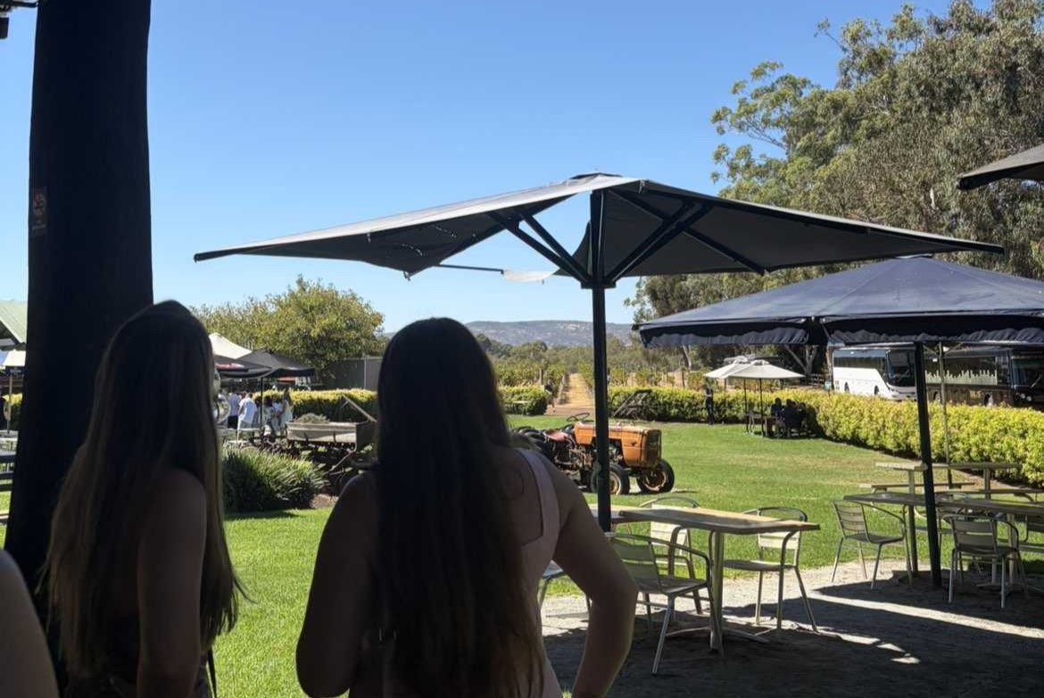 Puppy socialisation Perth Hills: The Ugly Duckling