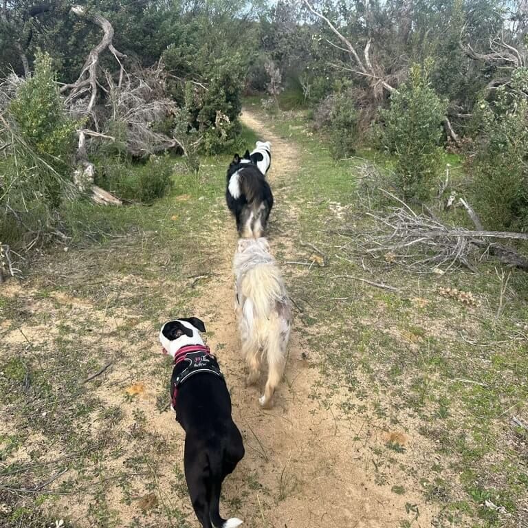 dfp-perths-best-walking-trails