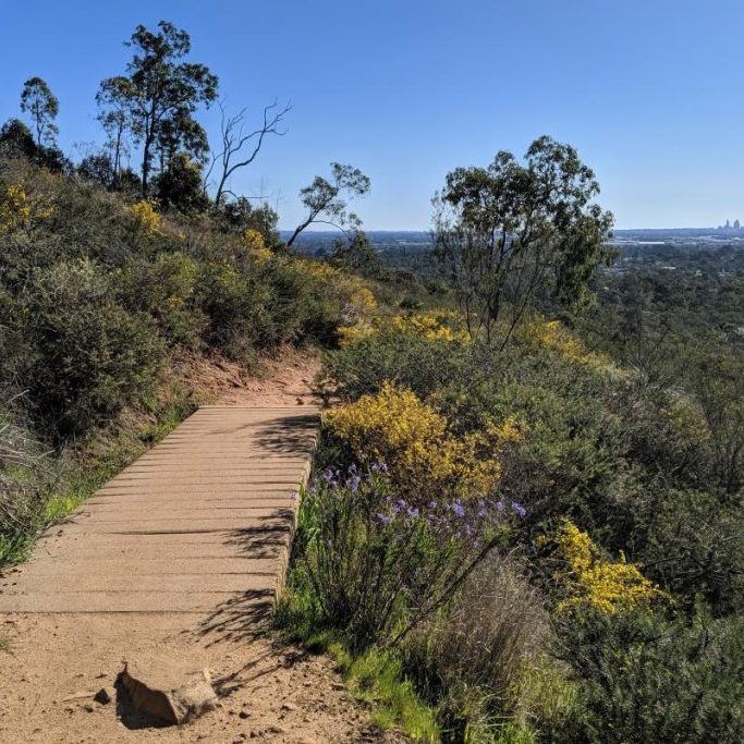 Dog friendly weekend activities Perth Hills: Perth Hills Lesmurdie Falls
